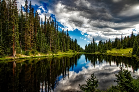 Environment